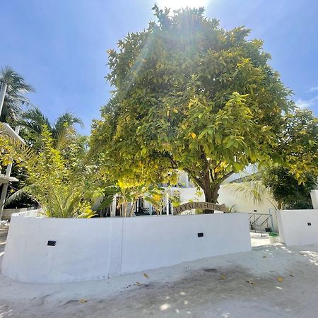 La Palma Suites أوكولهاس المظهر الخارجي الصورة